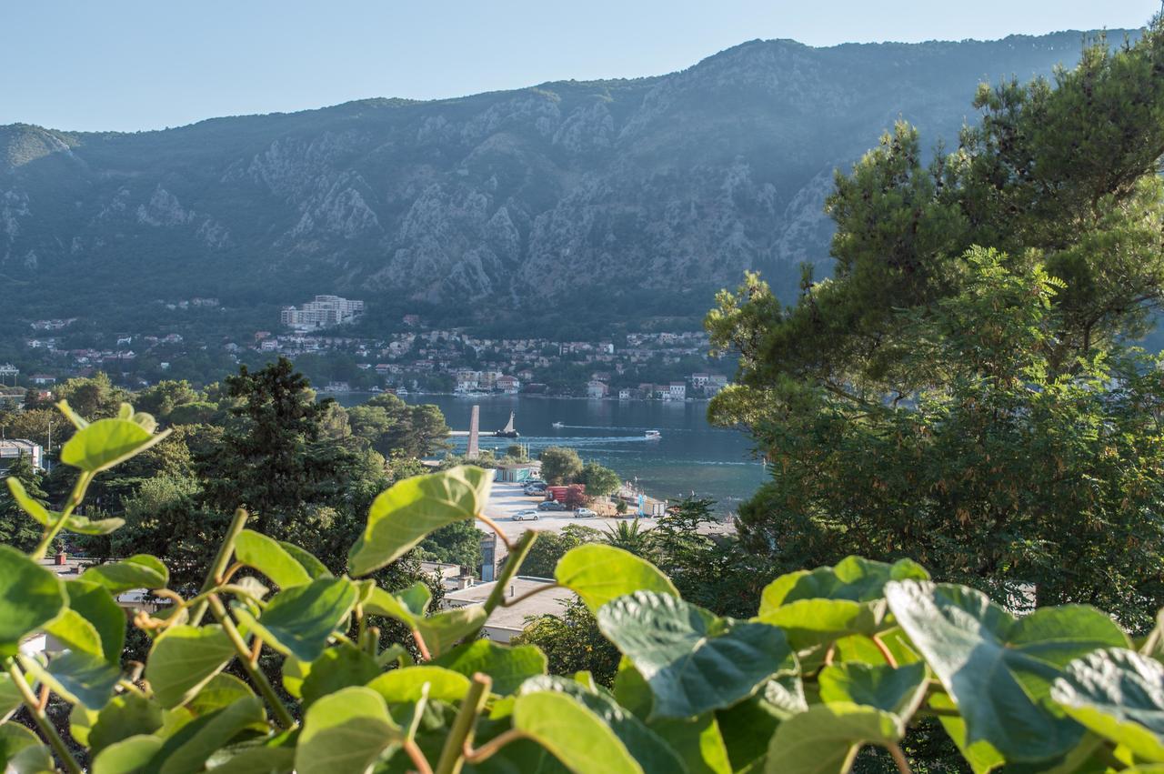 Apartment Kiwi Kotor Exterior foto