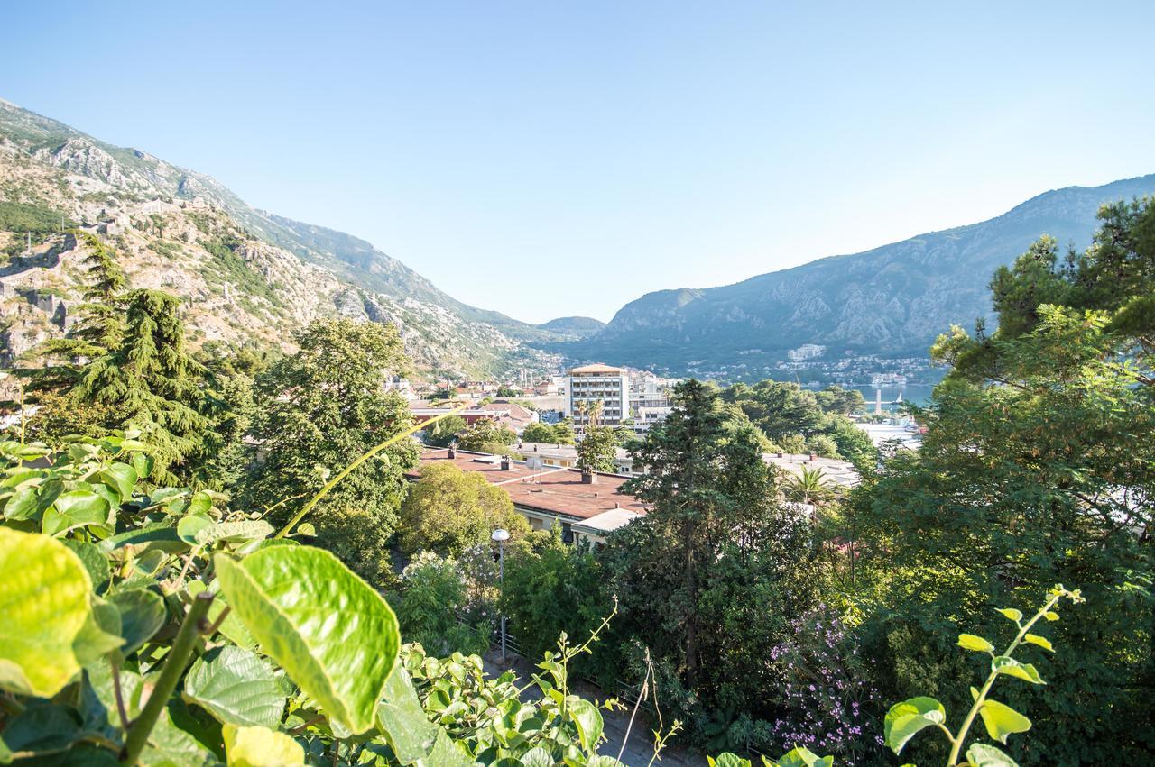 Apartment Kiwi Kotor Exterior foto